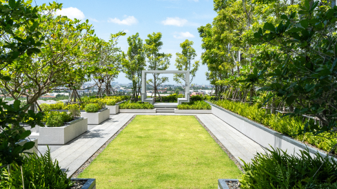 Elevated Park on the First Floor